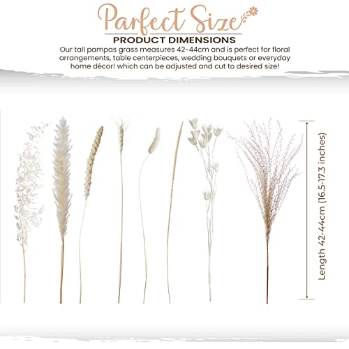 Natural Dried Pampas Grass - 85 Stems Dried Flowers Arrangements – Includes 17 Inch White Pompous Grass, Bunny Tails, Natural Reed Grass – Boho Home Decor Ideal for Wedding Decoration