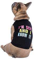 Parisian Pet Dog Cat Clothes Tee Shirts Embroidered T-Shirt Sexy and I Know It, L