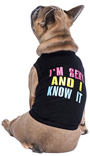 Parisian Pet Dog Cat Clothes Tee Shirts Embroidered T-Shirt Sexy and I Know It, L