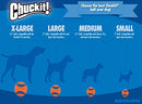 ChuckIt! Ultra Ball, Medium (Pack of 2)