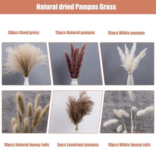 85 Stems Pampas Grass Decor - Natural Dried Pampas - 17.5 inch Boho Decor Flowers