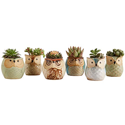 Owl Pot Ceramic Flowing Glaze Base Serial Set Succulent Plant Pot 6pcs