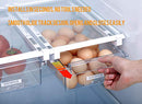 Fridge Drawer Organizer, Unique Design Pull Out Bins, Fridge Shelf Holder Storage Box