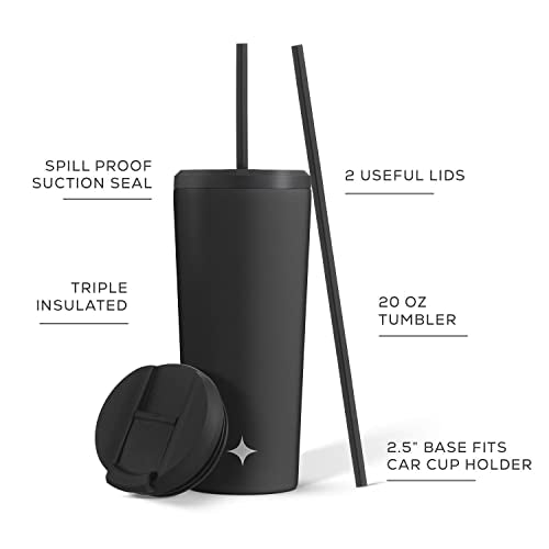 Triple Insulated 20oz Tumbler with Lid and Straw (2 Each) Vacuum Double Wall Stainless