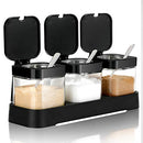 Condiment Jar Spice Container with Lids and Spoons, Set of 3 for Kitchen