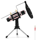 Studio Microphone, ZealSound Condenser Recording & Broadcasting Microphone