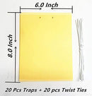20 Count Dual Yellow Sticky Traps 8 X 6 Inch Set for Flying Plant Insect