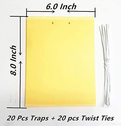 20 Count Dual Yellow Sticky Traps 8 X 6 Inch Set for Flying Plant Insect