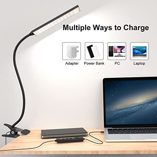 Clip on Light LED Desk Lamp with Eye-Caring LED Light and Metal Clip, 11 Level Brightness