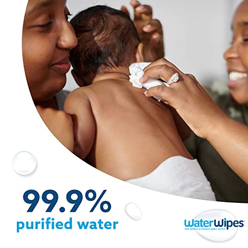 WaterWipes Biodegradable Original Baby Wipes