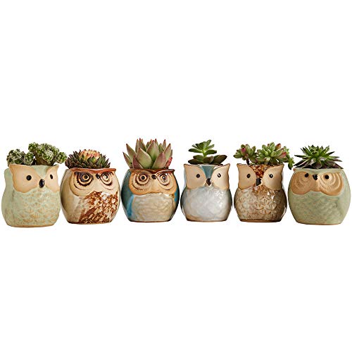 Owl Pot Ceramic Flowing Glaze Base Serial Set Succulent Plant Pot 6pcs