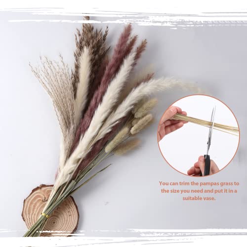 85 Stems Pampas Grass Decor - Natural Dried Pampas - 17.5 inch Boho Decor Flowers