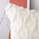Set of 2 Soft Plush Short Wool Velvet Decorative Throw Pillow Covers