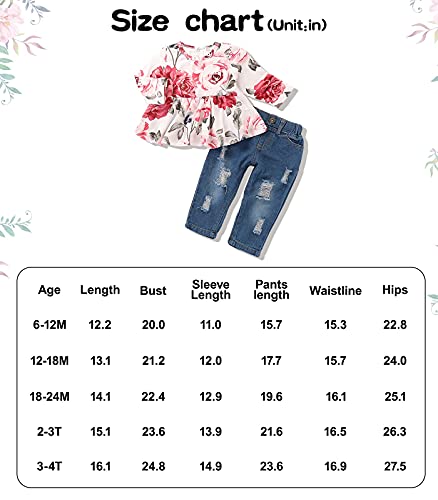 Girl Clothes Outfits, Cute Toddler Baby Ruffle Sleeve Floral T-Shirt Tops with Ripped Jeans Pants Set