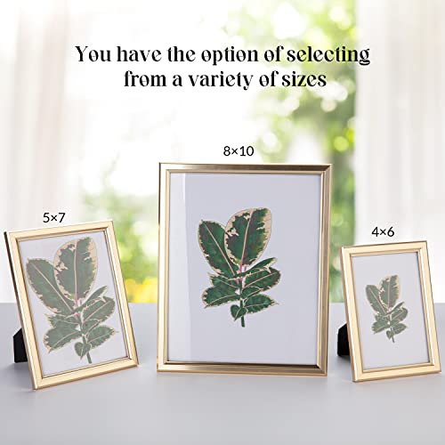 8X10 Modern Gold Picture Frame with High Definition Glass, 8X10 Photo Frames Set of 5