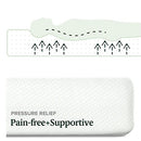 6 Inch Green Tea Memory Foam Mattress / CertiPUR-US Certified / Bed-in-a-Box