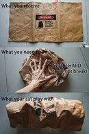 Crinkle Paper Cat Tunnel for Indoor Cats, Unbreakable Cat Cave Tunnel Toy