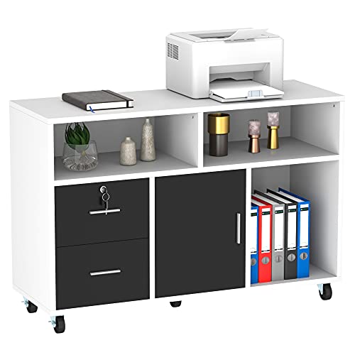 Wood File Cabinet, 2 Drawer Mobile Lateral Filing Cabinet