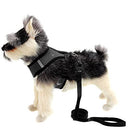 Dog's Chest Strap, Breathable mesh, Comfortable and Easy to Put on and Off