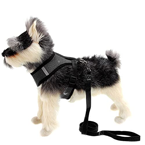 Dog's Chest Strap, Breathable mesh, Comfortable and Easy to Put on and Off