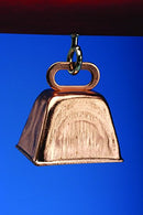 Perfect For Cockatiels, Conures, Parakeets/Budgies – Large Size (Multicolor)