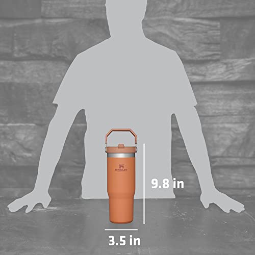 IceFlow Stainless Steel Tumbler with Straw - Vacuum Insulated Water Bottle for Home