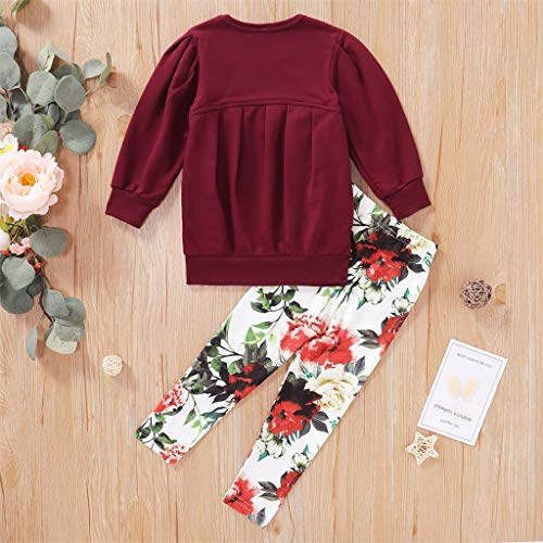 Toddler Baby Girl Leopard Clothes Long Sleeve Pullover Crew Neck Top Sweatshirt Pants Casual Winter Spring Outfits(Wine Red, 1-2T)