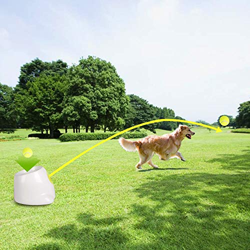 Dog Automatic Ball Launcher, Dog Tennis Ball Throwing Machine, 3 Balls Included