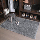 Machine Washable 3 x 5 Feet Rugs for Bedroom, Fluffy Shaggy Area Rug