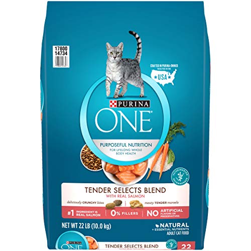 Purina ONE Natural Dry Cat Food, Tender Selects Blend With Real Salmon - 22 lb.