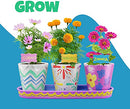Paint & Plant Stoneware Flower Gardening Kit - Gifts for Girls & Boys