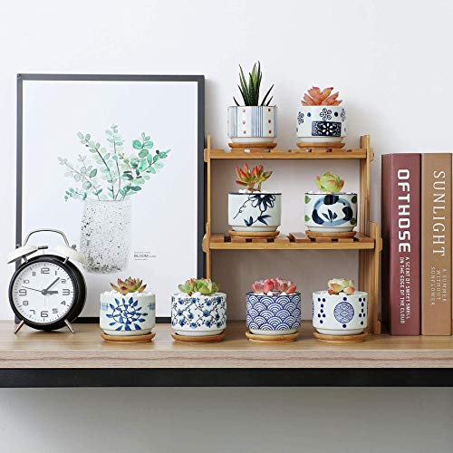 T4U 3 Inch Ceramic Succulent Planter Pots with Bamboo Tray Set of 8, Japanese Style Porcelain Handicraft as Gift for Mom Sister Aunt Best for Home Office Restaurant Table Desk Window Sill Decoration
