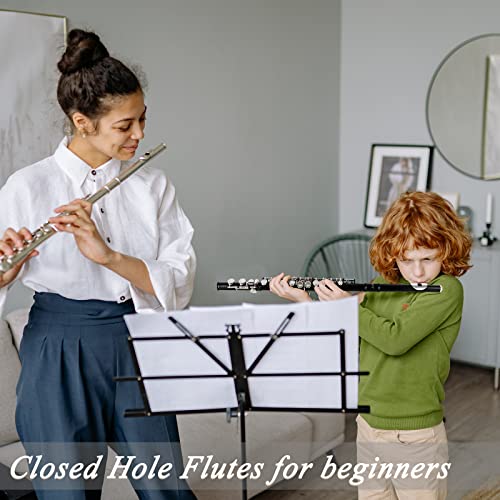 Closed Hole C Flute for Beginners Kids Student, 16 Keys Nickel-plated Flutes - Musical Instrument