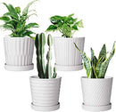 Flower Pots,6 Inch Succulent Pots with Drinage,Indoor Round Planter Pots with Saucer