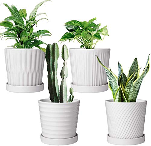 Flower Pots,6 Inch Succulent Pots with Drinage,Indoor Round Planter Pots with Saucer