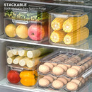 Large Capacity Egg Holder for Refrigerator, Egg Fresh Storage Box for Fridge, Egg Storage Container Organizer Bin, Clear Plastic Storage Container (2 Layer)