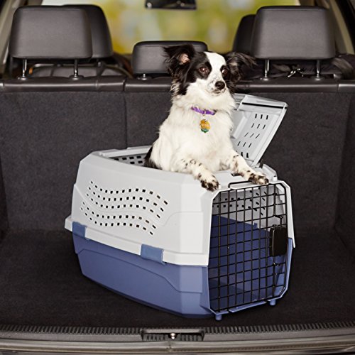 Amazon Basics Two-Door Top-Load Hard-Sided Pet Travel Carrier, 23-Inch