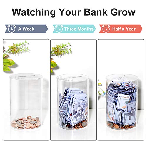 Piggy Bank for Adults Break to Open, Clear Piggy Bank