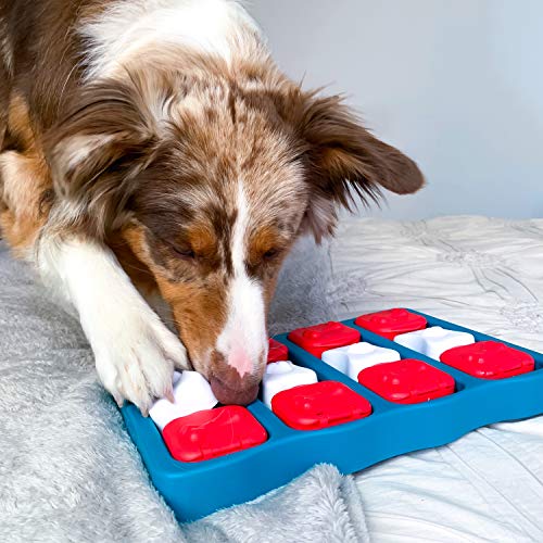 Dog Brick Interactive Treat Puzzle Dog Toy, Intermediate