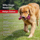 Tough Dog Toys for Aggressive Chewers Large Breed, Apasiri Dog Chew Toys