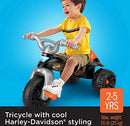 Harley-Davidson Tricycle with Handlebar Grips and Storage