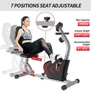 Recumbent Exercise Bike, Magnetic Indoor Cycling Bike Stationary Bikes