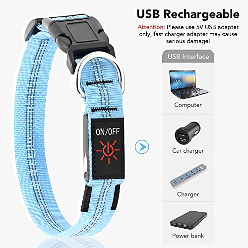 Flashseen LED Dog Collar USB Rechargeable with Adjustable Dog Collars
