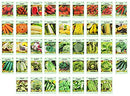 Set of 43 Assorted Vegetable & Herb Seeds - 43 Varieties - Create a Deluxe Garden