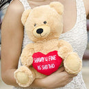 Authentic Teddy Bear - Funny Valentine's Day Plush Gift for The Girlfriend, Wife, Boyfriend