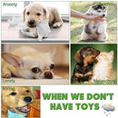 Angelland Dog Chew Toys for Small to Medium Dogs - 10 Pack Tough Dog Toys