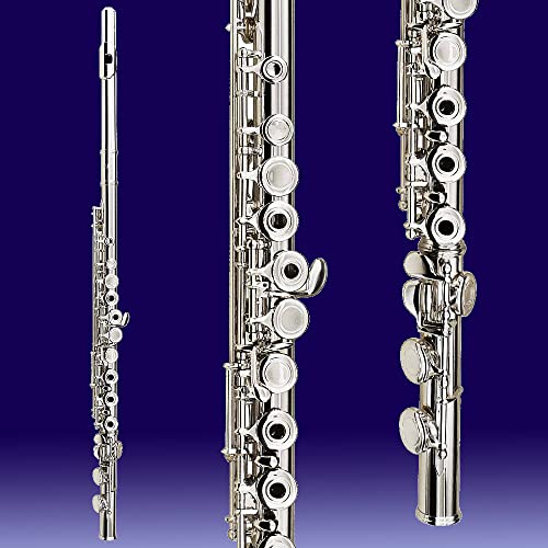 Musical Instrument, Kids Beginner/Intermediate Flute in Band & Orchestra