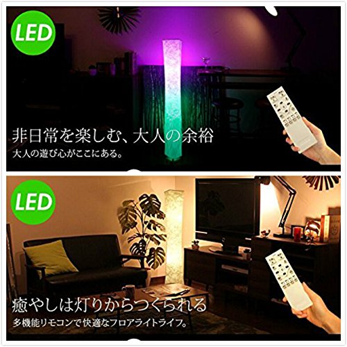 61" Soft Light Floor Lamp,LEONC RGB Color Changing LED Tyvek Fabric Shade