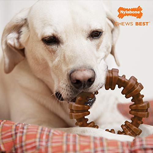 Nylabone Power Chew Textured Dog Chew Ring Toy Ring Flavor Medley X-Large/Souper (1 Count)