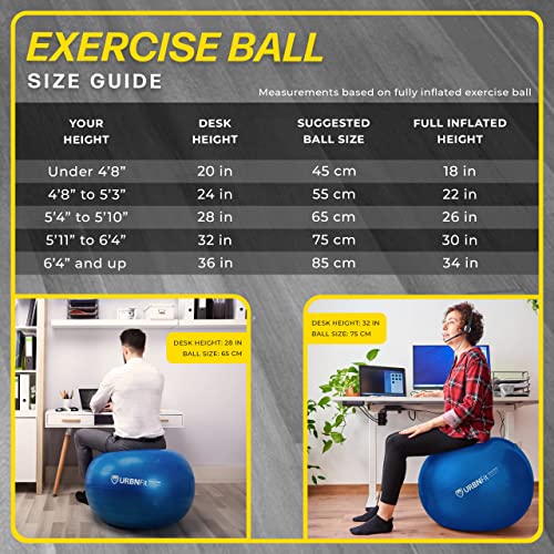 Yoga Ball in Multiple Sizes for Workout, Pregnancy, Stability - Anti-Burst Swiss Balance Ball